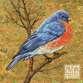 the album cover for Marketa Irglova - Muna