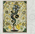 the album cover for Steve Earle - I Feel Alright [180 Gram]