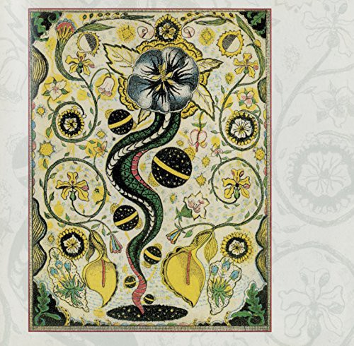 the album cover for Steve Earle - I Feel Alright [180 Gram]