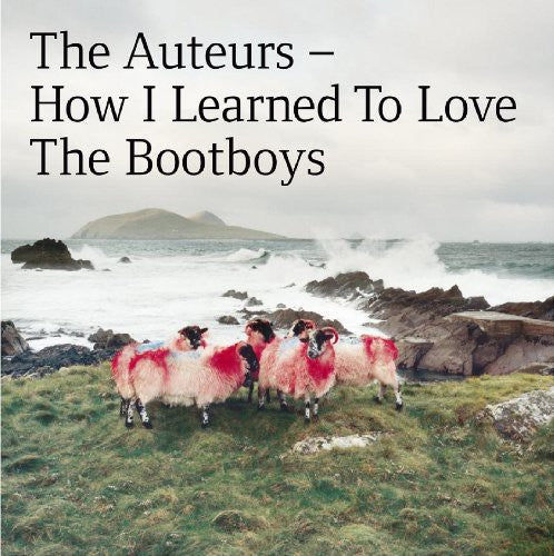 the album cover for Auteurs - How I Learned to Love the Bootboys