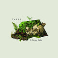 the album cover for Taxes - It Never Ends