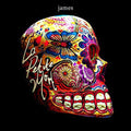 the album cover for James - La Petite Mort