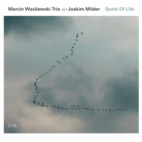 the album cover for Marcin Wasilewski Trio - Wasileski Trio, Marci : Spark of Life