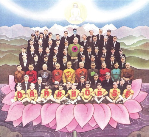 the album cover for George Harrison - Dark Horse