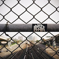 the album cover for No Limbs - No Limbs