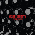 the album cover for Steve Roach - Skeleton Keys