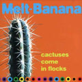 the album cover for Melt Banana - Cactuses Come in Flocks