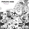 the album cover for Purling Hiss - Weirdon