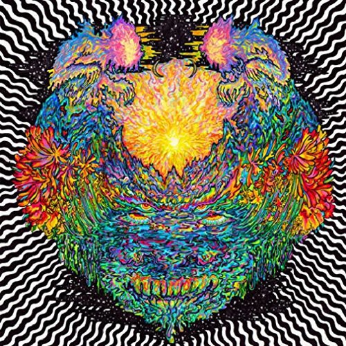 the album cover for Meatbodies - Meatbodies
