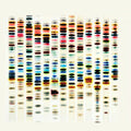 the album cover for St 37 - Im Not Good