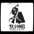 the album cover for Slang - Devastation in the Void