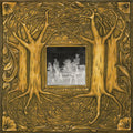 the album cover for Samantha Crain - Under Branch and Thorn and Tree