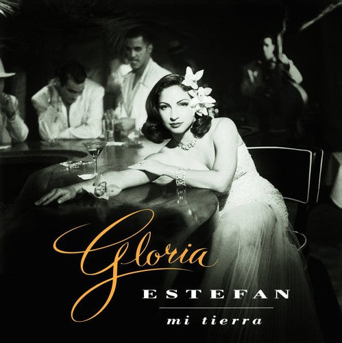 the album cover for Gloria Estefan - Mi Tierra