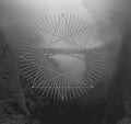 the album cover for Baring Teeth - Ghost Chorus Among Old Ruins