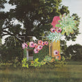 the album cover for Medicine - Home Everywhere