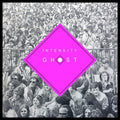the album cover for Chris Forsyth & The Solar Motel Band - Intensity Ghost