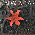the album cover for Madagascar - Spirit of the Street