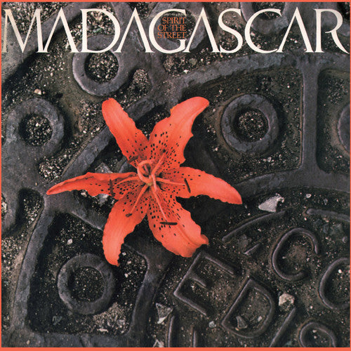the album cover for Madagascar - Spirit of the Street