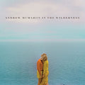 the album cover for Andrew McMahon in the Wilderness - Andrew McMahon in the Wilderness