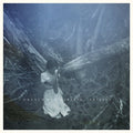 the album cover for French For Rabbits - Spirits [Vinyl]