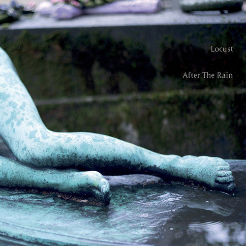 the album cover for Locust - After the Rain