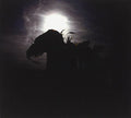 the album cover for Emit - Spectre Music of An Antiquary