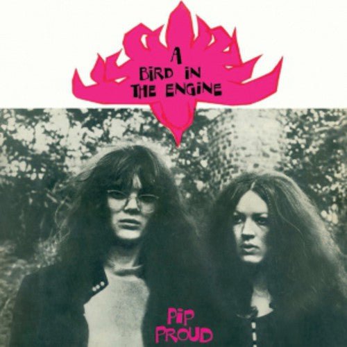 the album cover for Pip Proud - Bird in the Engine