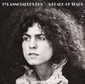 the album cover for Tyrannosaurus Rex - Beard of Stars + 2014