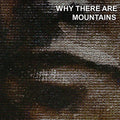 the album cover for Cymbals Eat Guitars - Why There Are Mountains [Vinyl]