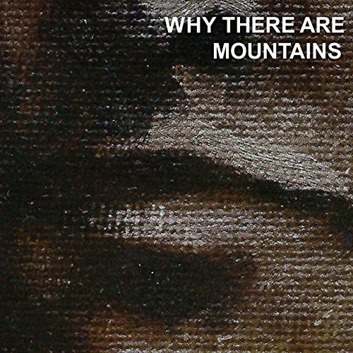 the album cover for Cymbals Eat Guitars - Why There Are Mountains [Vinyl]