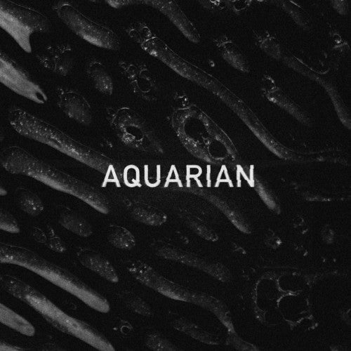 the album cover for Aquaria - Aquarian [Download Included]