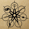 the album cover for Ian Cooke - Antiquasauria