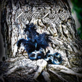 the album cover for Digital Daggers - Close Your Eyes