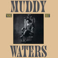 the album cover for Muddy Waters - King Bee [Limited Anniversary Edition Vinyl]