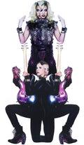 the album cover for Prince & 3rdeyegirl - Plectrumelectrum [Vinyl]