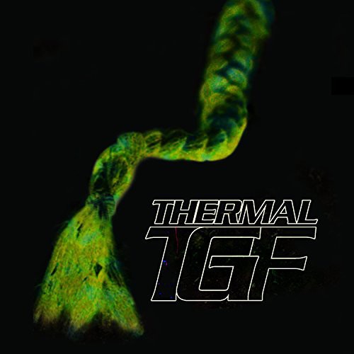 the album cover for Teengirl Fantasy - Thermal