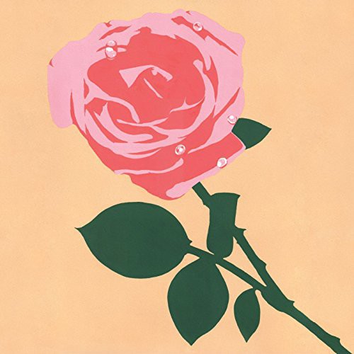 the album cover for Nerftoss - Maiden Powers [Digipak]