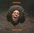 the album cover for Funkadelic - Maggot Brain