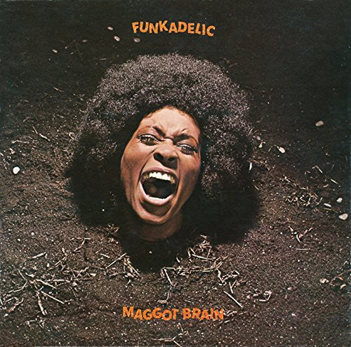 the album cover for Funkadelic - Maggot Brain