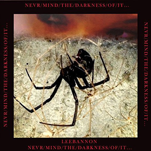 the album cover for Lee Bannon - Never/Mind/The/Darkness/Of/It