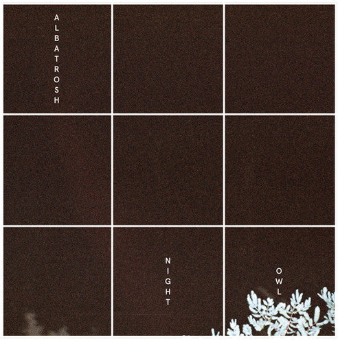 the album cover for Albatrosh - Night Owl