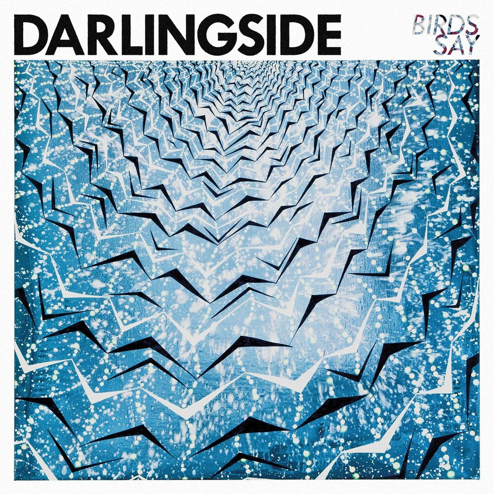 the album cover for Darlingside - Birds Say