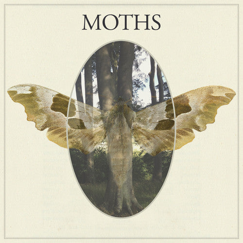 the album cover for Moths - Moths