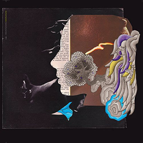 the album cover for Dirty Sound System - Dirty French Psychedelics