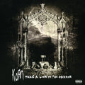 the album cover for Korn - Take A Look In The Mirror (Hol)