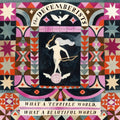 the album cover for The Decemberists - What a Terrible World: What a Beautiful World