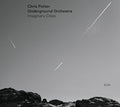 the album cover for Chris Potter - Imaginary Cities