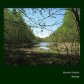 the album cover for Martin Schulte - Forest