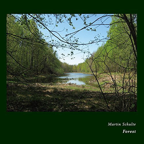 the album cover for Martin Schulte - Forest