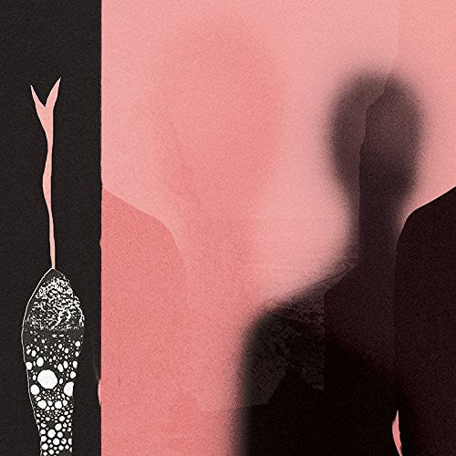 the album cover for H Hawkline - In the Pink of Condition